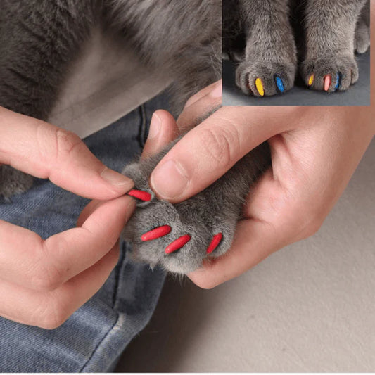 Imported Soft Silicone Nail Caps For Cats (Pack of 20)