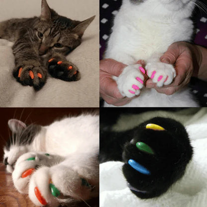 Imported Soft Silicone Nail Caps For Cats (Pack of 20)