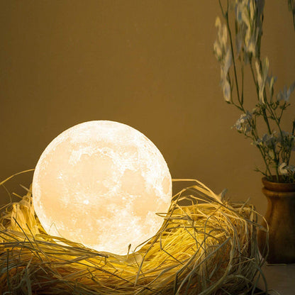 Moon light