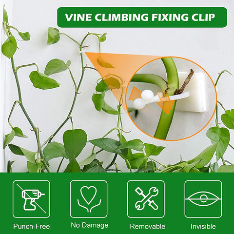 3 in 1 Plant Clumping Clips